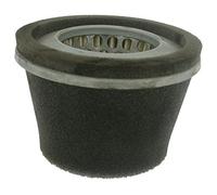 Greenstar 5696 Filtre à air conique avec pré-filtre pour Robin 58 mm