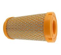 Greenstar 5877 Filtre à air adaptable Brigg/Stratton 793569