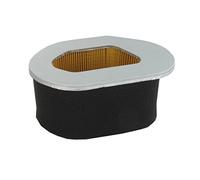 Greenstar 5949 Filtre à air adaptable Robin