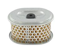 Greenstar 6010 Filtre à air adaptable pour Kohler