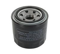 Greenstar 6213 Filtre à huile adaptable