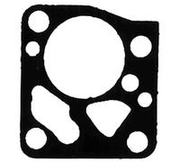 Greenstar 6651 Membrane adaptable pour Carburateur Tillotson