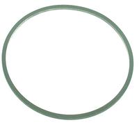Greenstar 7300 Joint pour Carburateur Walbro