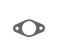 Greenstar 7487 Joint pour Carburateur Tecumseh/Tecnamotor
