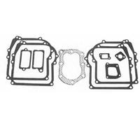 Greenstar 7499 Pochette de Joint adaptable pour Briggs & Stratton