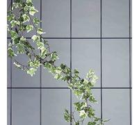 Greentower GT Échelle Murale 141405 Braun 5 Barres Support De Plantes Jardin