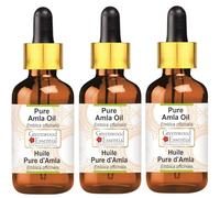 Greenwood Essential Huile d'amla pure naturelle (Emblica officinalis) avec compte-gouttes en verre de qualité thérapeutique naturelle 100 ml x 3 (10 oz)