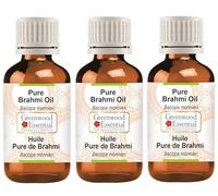 Greenwood Essential Huile de Brahmi pure naturelle (Bacopa monnieri) Qualité thérapeutique naturelle 100 ml x 3 (10 oz)