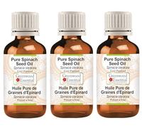 Greenwood Essential Huile de graines d'épinards pure naturelle (Spinacia oleracea) pressée à froid 100 ml x 3 (10 oz)