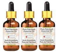 Greenwood Essential Huile essentielle naturelle de patchouli (Pogostemon Cablin) avec compte-gouttes en verre distillée à la vapeur 100 ml x 3 (10 oz)