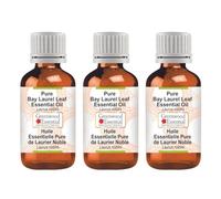 Greenwood Essential Pur Baie Laurier Feuille Huile Essentielle (Laurus nobilis) 100% Naturelle de Qualité Thérapeutique Distillée à la Vapeur (Lot de trois) 100ml X 3 (10 oz)