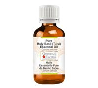 Greenwood Essential Pure Holy Basil Essential Oil (Ocimum sanctum) 100% Natural Therapeutic Grade Steam Distilled 50ml (1.69 oz)