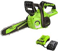 Greenworks 24V 10po Tronconneuse Électrique sans Fil avec Batterie 2Ah et Chargeur, Vitesse de Chaîne 4,3 m/s, Auto- Huileur, Tronconneuse à Batterie avec Protection Anti-Rebonds
