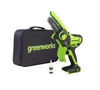 Greenworks 24V Mini Tronçonneuse 10cm Tronçonneuse à batterie sans fil alimentée par batterie et chargeur, vitesse de chaîne de 7,8 m/s, pour branches d'arbres, cour et usage domestique.
