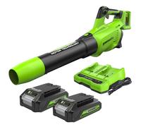 Greenworks 2x24V Souffleur à Batterie Axial de Feuilles Sans Fil avec Moteur Sans Balai, Fonction Turbo, 217 km/h, 16,4 m³/min, AVEC Deux Batteries 24V 2Ah et Chargeur, Garantie 3 Ans GD24X2ABK2X