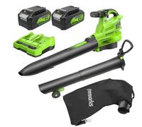 Greenworks Souffleur de Feuilles sans Fil 48 V (2 x 24 V) avec Sac de paillage de 45 L, 386 km/h, 14,73 m³/Min, Deux Batteries 4 Ah et Chargeur à Double Port, BL48L421-01