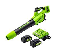 Greenworks 48V (24V x 2) Cordless Brushless Axial Leaf Blower (140 MPH / 585 CFM / 200+ Compatible Tools), (2) 4.0Ah Batteries and Dual Port Rapid Charger Included