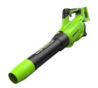 Greenworks 2x24V Souffleur à Batterie Axial de Feuilles Sans Fil avec Moteur Sans Balais, Fonction Turbo, 217 km/h, 16,4 m³/min SANS les Deux Batteries Ni chargeur, Garantie 3 Ans GD24X2AB