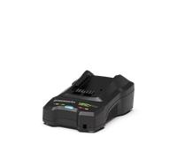 Greenworks 48V Chargeur