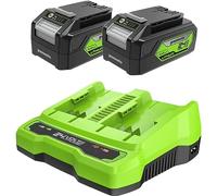Greenworks Batteries 24V et Chargeur Double Fente - Deux Batteries 4Ah, Batterie Rechargeable pour Tous Appareils Greenworks 24V, Sortie 48W Tension 4A Charge Une Batterie en 60 Min - G24B4 & G24X2C
