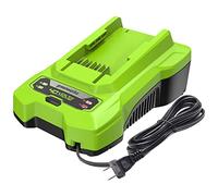 Greenworks Chargeur de Batterie 40 V (Chargeur Greenworks Authentique)