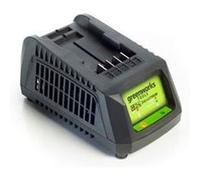 Greenworks Chargeur de batterie universel G24UC 24 V 2,2 A 2913907 G