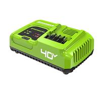 Greenworks Chargeur Rapide 40 V 5 A, pour Toutes Les Batteries Greenworks 40 V