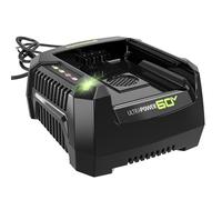 Greenworks Chargeur Rapide Pro 60 V Ultra Power 6 A - Fonctionne avec Toutes Les Batteries Greenworks