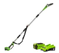 Scie à bûche Greenworks Scie à perche avec batterie 40 V 2 Ah G40PS20 20157UA