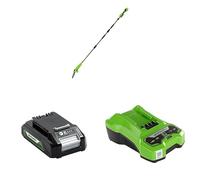 Greenworks Élagueuse sur perche sans fil 24 V 20 cm, longue portée de 2,68 m pour l'élagage des arbres +Batterie 24V + Chargeur de Batterie 24V 2A, Montage mural + Voyant de Charge LED