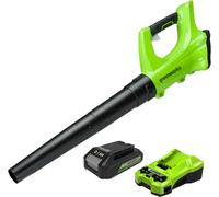 Greenworks G24ABII Souffleur à Batterie Axial de Feuilles Mortes Sans Fil, 145 km/h, 9,08 m³/min SANS Batterie 24V Ni Chargeur, Garantie 3 Ans
