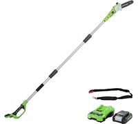 Greenworks 24V Elagueuse Sur Perche - avec une batterie 2Ah et chargeur