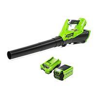Greenworks Souffleur sans fil G40ABK2 axial 177 km/h 40V 2Ah avec chargeur, garantie 3 ans