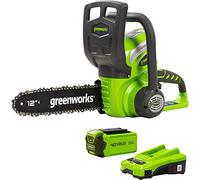 Greenworks Kit de tronçonneuse avec batterie 40 V 2 Ah G40CS30 20117UA