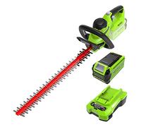 Greenworks G40HT61K2, Taille-Haie à Batterie, Lames Double Action 61 cm, Coupe jusqu'à 27 mm d'Épaisseur, 3000 tr/min, Batterie 40V 2Ah et Chargeur, Garantie 3 Ans