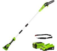Greenworks G40PSFK2 Élagueuse sur Perche, Longueur des barres 8 Pouces (20cm), Vitesse 8 m/s, 3,64 kg, Graisseur Automatique, Portée 2.58 m, Batterie 40V 2Ah, Chargeur, Garantie 3 Ans