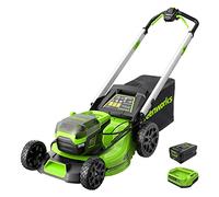 Greenworks Tondeuse à gazon tractée Brushless 46 cm 60V Batterie 4,0 Ah Chargeur GD60LM46SPK4