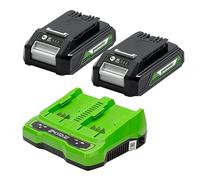 Kit de démarrage 24V Greenworks GSK24B2X avec 2 batteries 2Ah et un chargeur universel (Li-Ion 24V 2Ah Sortie 48W/2A adapté à tous les outils et batteries des séries 24V et 2x24V Greenworks)