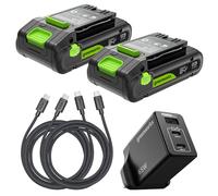 Greenworks K2D4DEA Lot de 2 Batteries USB-C Haute Puissance 24 V 2 Ah et Chargeur USB-C 65 W et câble de 100 W, Batterie Li-ION adaptée à Tous Les appareils 200+ Greenworks 24 V