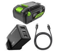 Greenworks K2S4BEA Batterie USB-C Haute Puissance 24 V 4 Ah et Chargeur USB-C 65 W et câble de 100 W, Batterie Li-ION adaptée à Tous Les appareils 200+ Greenworks 24 V