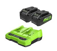 Greenworks Lot de 2 Batteries USB 24 V 4,0 Ah + Chargeur Rapide Double Port (pièces Greenworks Authentiques)