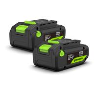 Greenworks POWERALL 24V 2x Batteries haute performance USB-C 4Ah