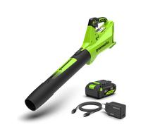 Greenworks POWERALL 24V Souffleur 177 km/h - Batterie 4Ah