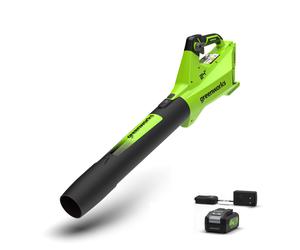 Greenworks POWERALL 24V Souffleur 177 km/h - Batterie 4Ah