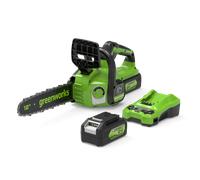Greenworks POWERALL 24V Tronçonneuse 30cm - Batterie 4Ah