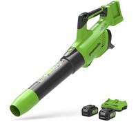 Greenworks POWERALL 48V (24V x 2) Souffleur 217 km/h - 2x Batteries 4Ah