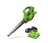 Greenworks POWERALL 48V (24V x 2) Souffleur / Aspirateur à feuilles 322 km/h avec 2x 4Ah Battery