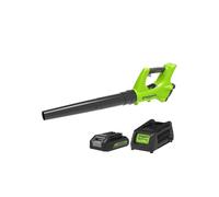 Greenworks souffleur axial électrique g24abk2 - 24 v - 1 batterie + 1 chargeur - vert