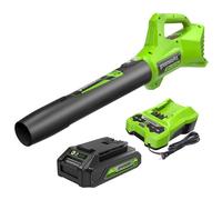Greenworks Souffleur axial sans Fil G24ABIIK2, 145 km/h, 9,08 m³/Min, Batterie et Chargeur 24 V