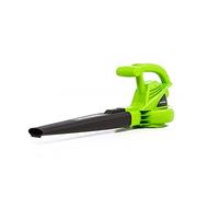 Greenworks Souffleur électrique 24012 7 A